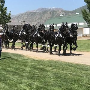 Meet your Posher, Ce